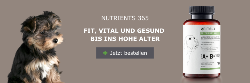 Das Nutrients 365 von animaux enthält alle relevanten Vitamine für Hunde und unterstützt das Immunsystem deiner Fellnase