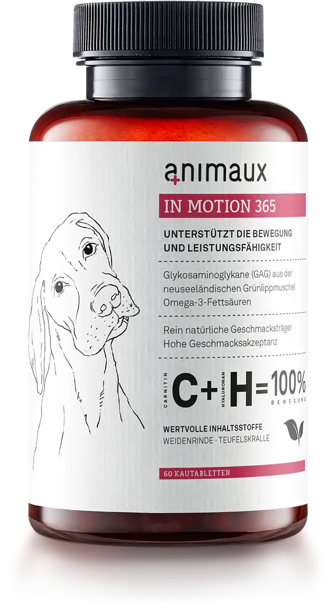 animaux nutrients in motion dog 660x1200 Portrait DE